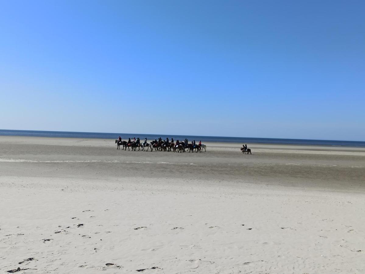 Gite Les Chalets Du Fliers Verton Meubles De Tourisme Classes 2 Etoiles Berck 外观 照片