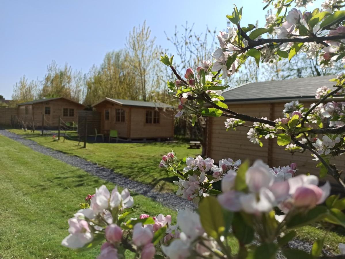 Gite Les Chalets Du Fliers Verton Meubles De Tourisme Classes 2 Etoiles Berck 外观 照片